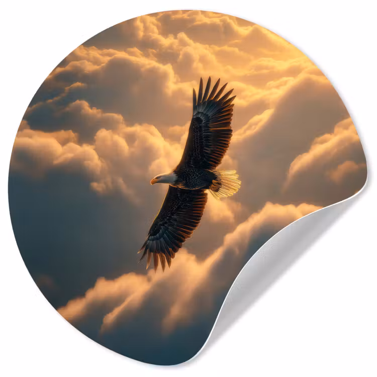 Behangcirkel - Adelaar - Wolken - Zon — 1