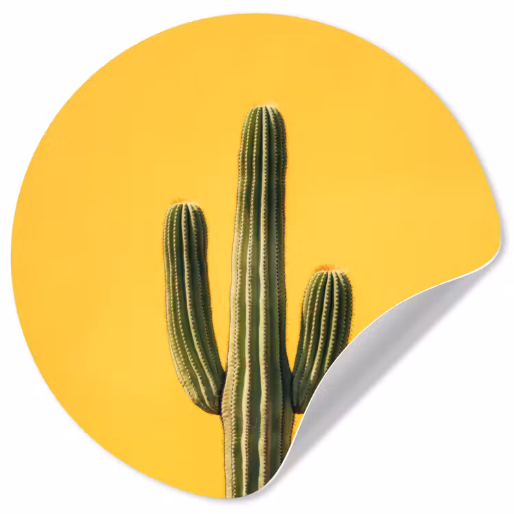 Behangcirkel - Cactus - Groen - Minimalistisch — 1