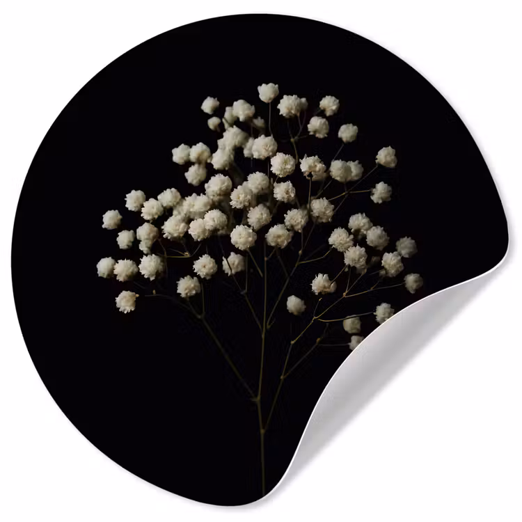 Behangcirkel - Gipskruid - Bloemetjes - Wit - Minimalistisch — 1