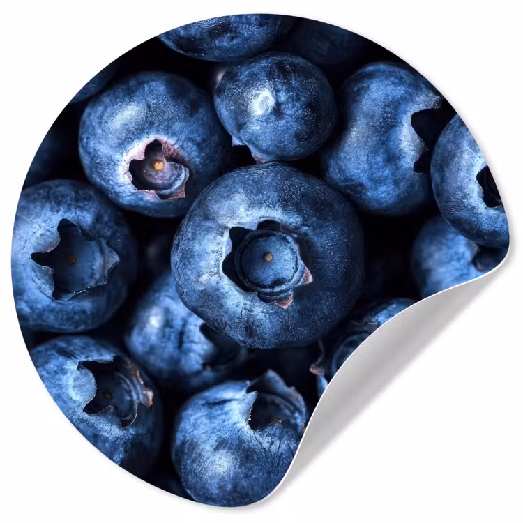 Behangcirkel - Bessen - Blauw - Fruit — 1