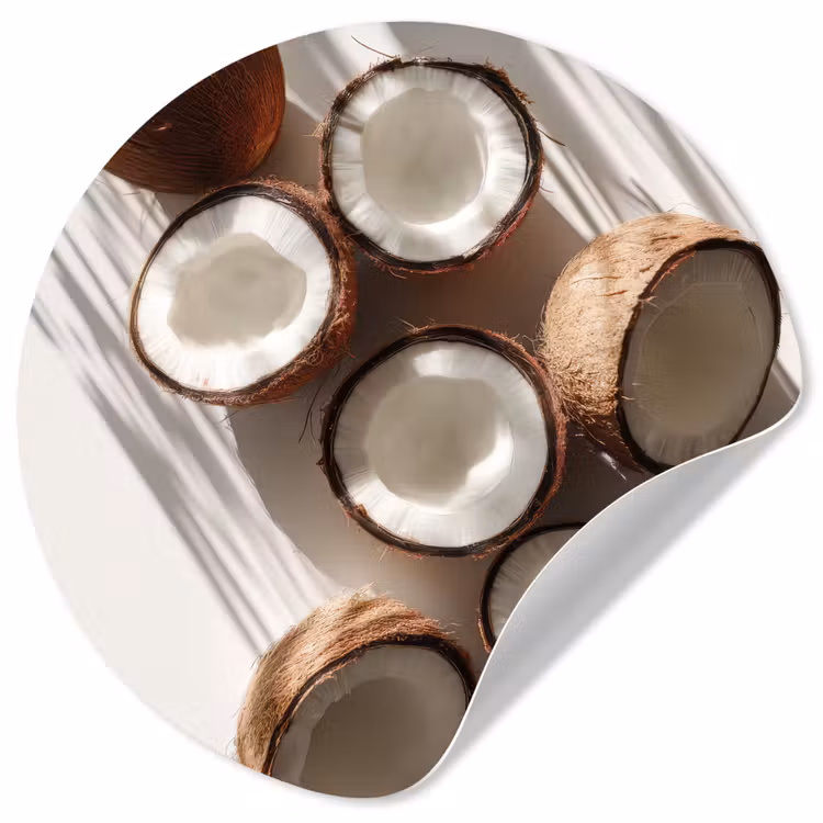 Behangcirkel - Kokosnoten - Bruin - Shaduw — 1