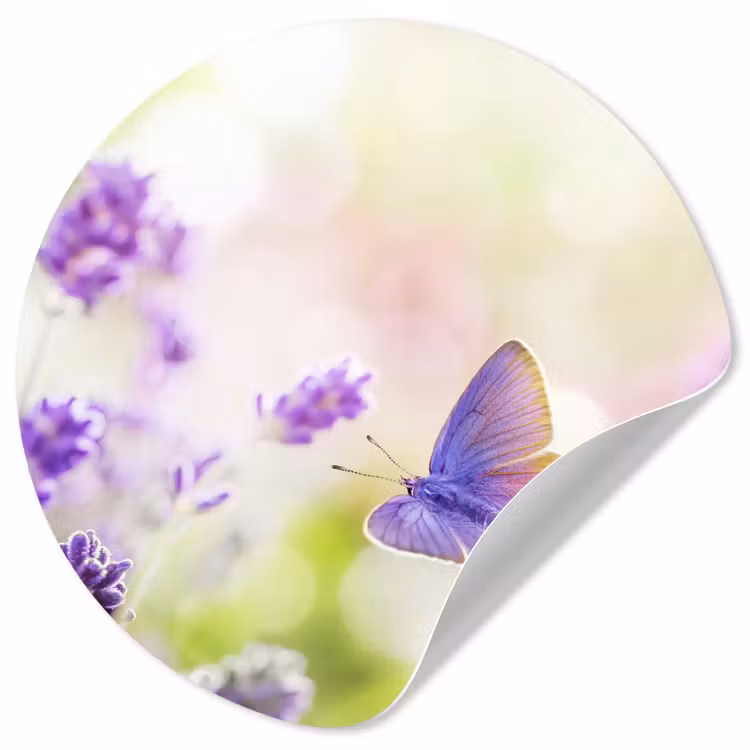 Behangcirkel - Lavendel - Vlinder - Bloemen — 1