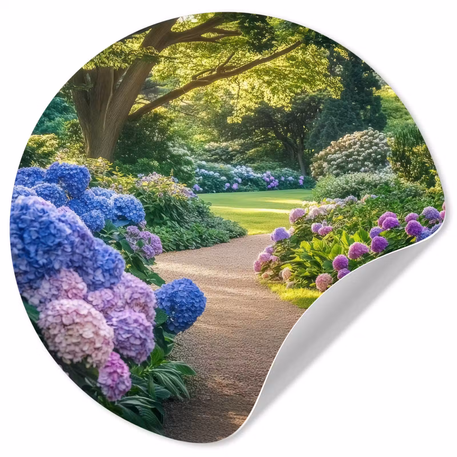 Behangcirkel - Hortensia- Park - Pad — 1