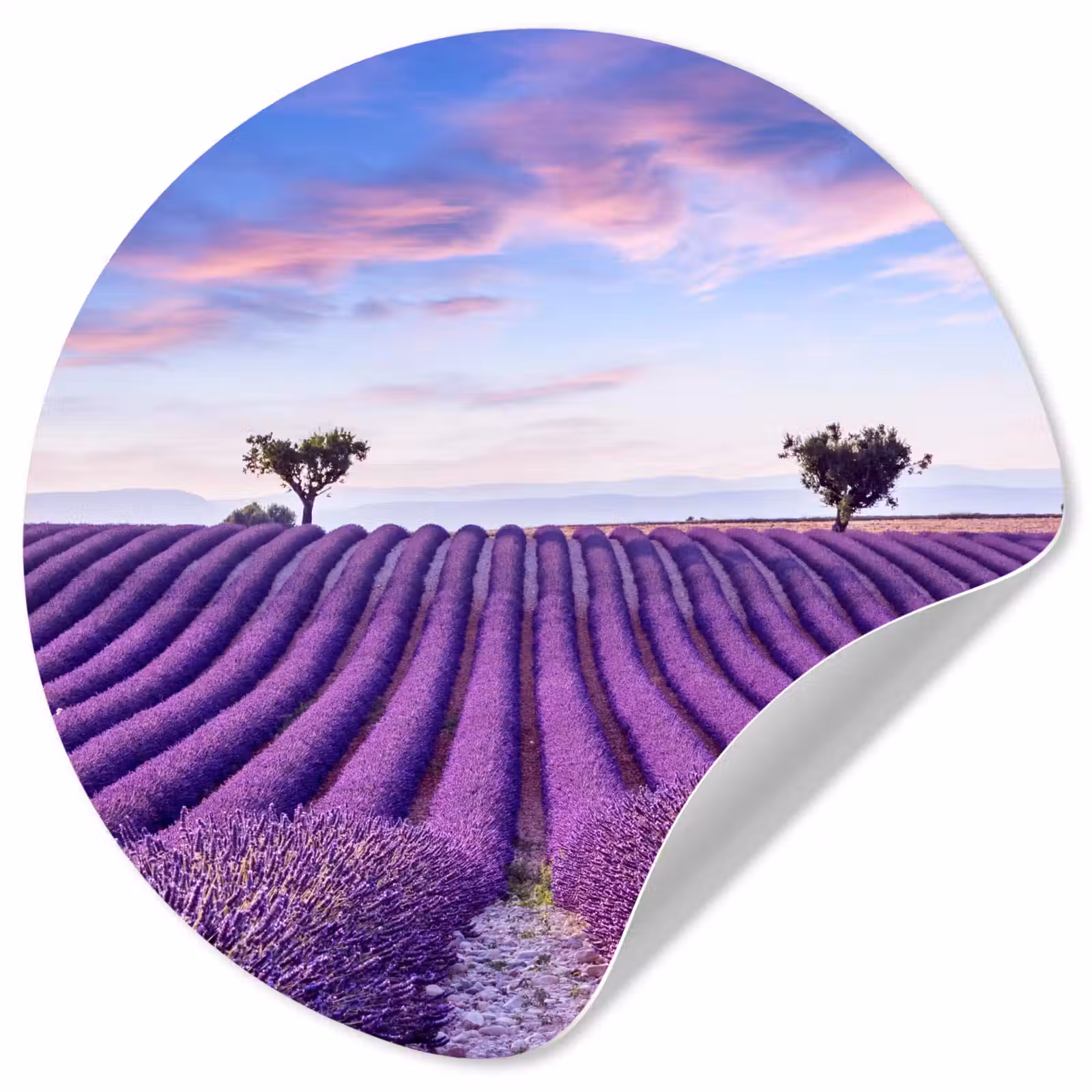 Behangcirkel - Lavendel - Natuur - Paars - Bomen - Bloemen — 1