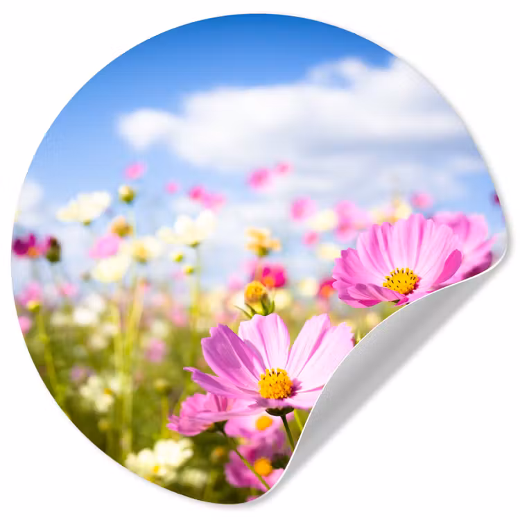Behangcirkel - Bloemen - Wei - Paars - Gras - Wit - Wolken - Blauw — 1