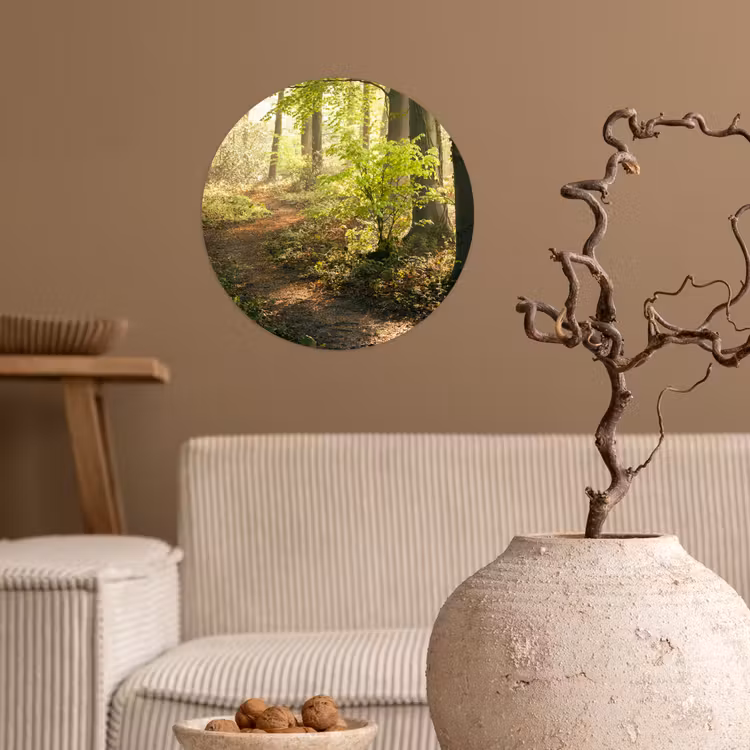 Behangcirkel - Bos - Bomen - Pad - Zon - Planten - Bladeren - Natuur — 2