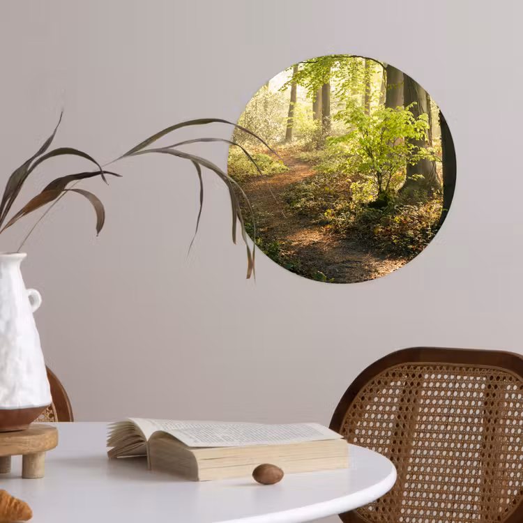 Behangcirkel - Bos - Bomen - Pad - Zon - Planten - Bladeren - Natuur — 4