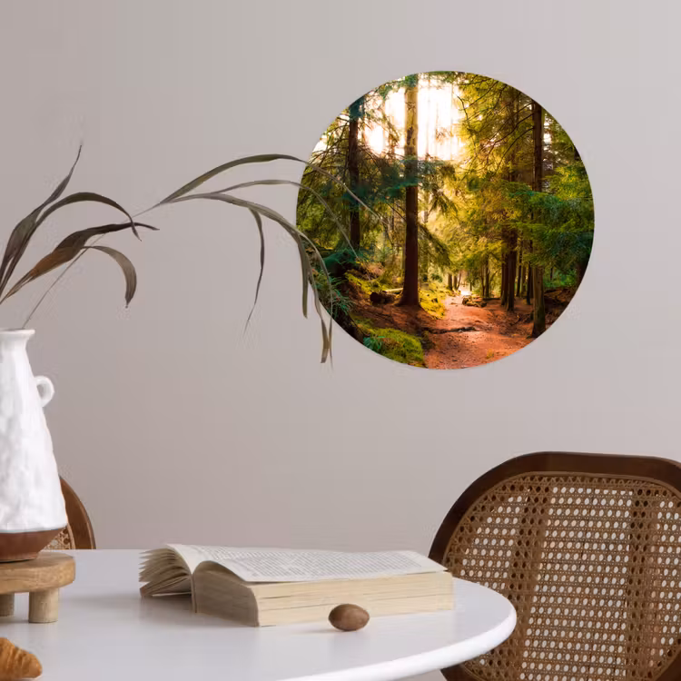 Behangcirkel - Bos - Pad - Bomen - Groen - Zon - Natuur — 4