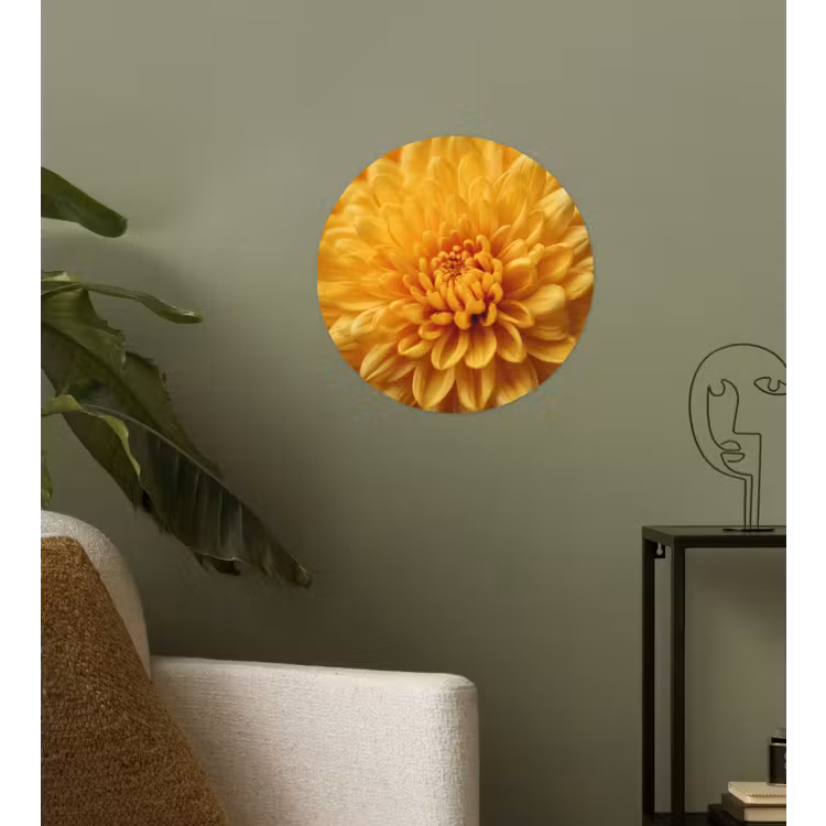 Behangcirkel - Geel - Chrysant - Zachtheid — 3