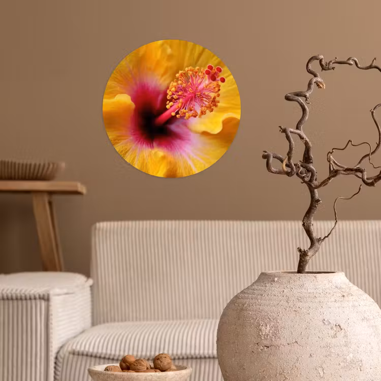 Behangcirkel - Geel - Hibiscus - Tropisch — 2