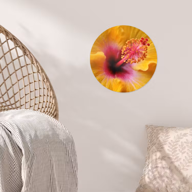 Behangcirkel - Geel - Hibiscus - Tropisch — 5