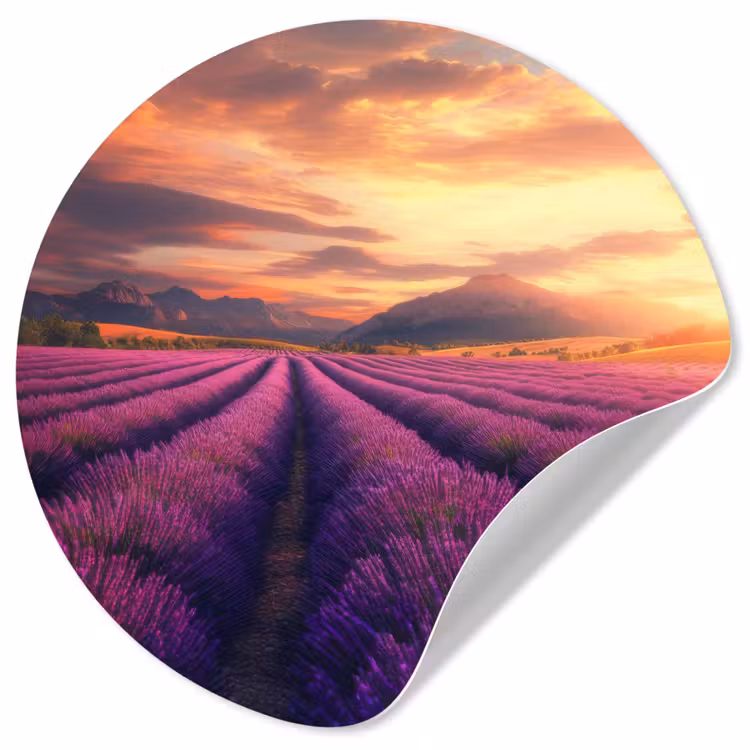 Behangcirkel - Lavendelveld - Zonsondergang - Paars — 1