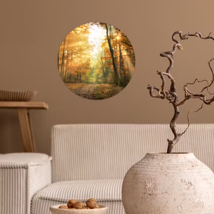 Behangcirkel - Bos - Herfst - Zon - Landschap - Natuur - Bomen - Bladeren — 2