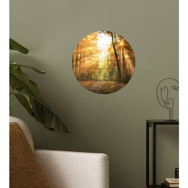Behangcirkel - Bos - Herfst - Zon - Landschap - Natuur - Bomen - Bladeren — 3