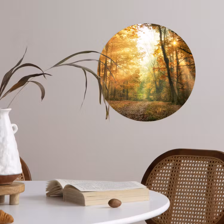 Behangcirkel - Bos - Herfst - Zon - Landschap - Natuur - Bomen - Bladeren — 4