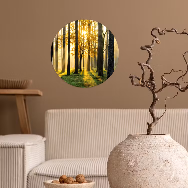 Behangcirkel - Bos - Zon - Bomen - Gras - Landschap - Natuur — 2