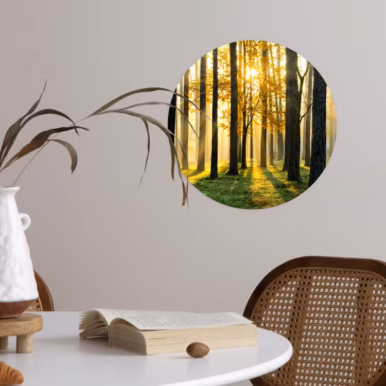 Behangcirkel - Bos - Zon - Bomen - Gras - Landschap - Natuur — 4