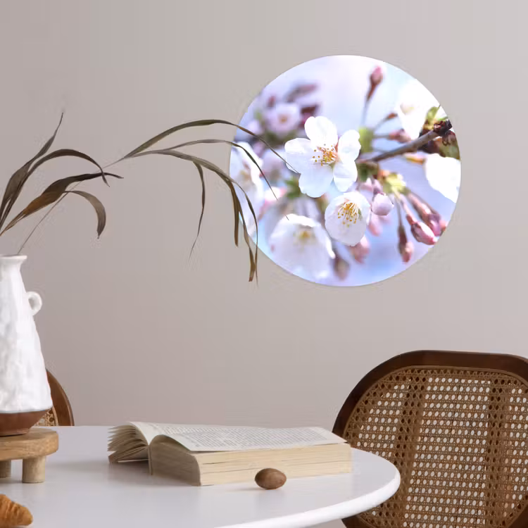 Behangcirkel - Bloemen - Sakura - Tak - Bloesem takken — 4