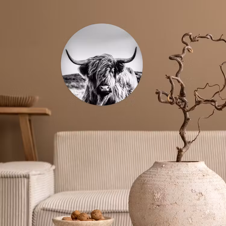 Behangcirkel - Koe - Schotse hooglander - Zwart - Wit - Dier - Natuur - Wild — 2