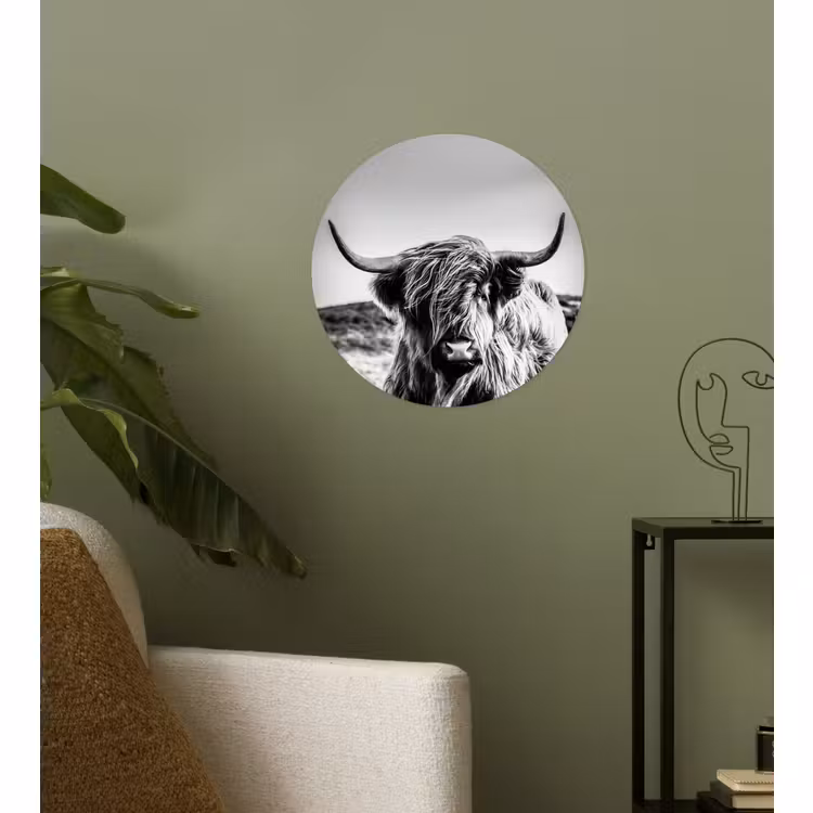 Behangcirkel - Koe - Schotse hooglander - Zwart - Wit - Dier - Natuur - Wild — 3