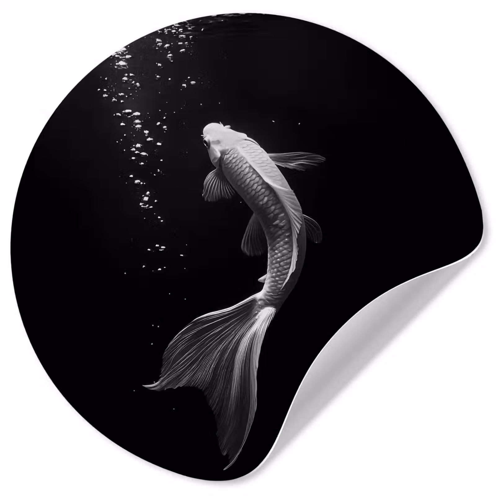 Behangcirkel - Koi - Vis - Wit - Zwart — 1