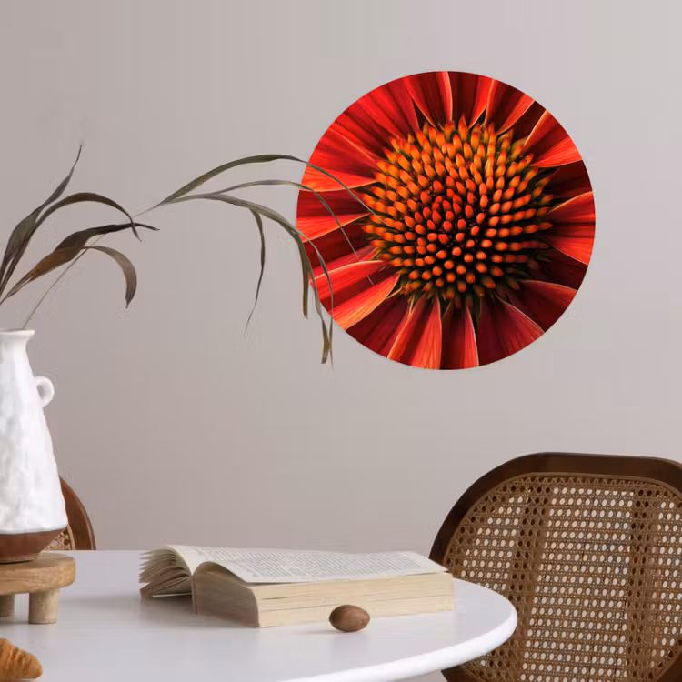 Behangcirkel - Close up - Bloem- Rood — 4