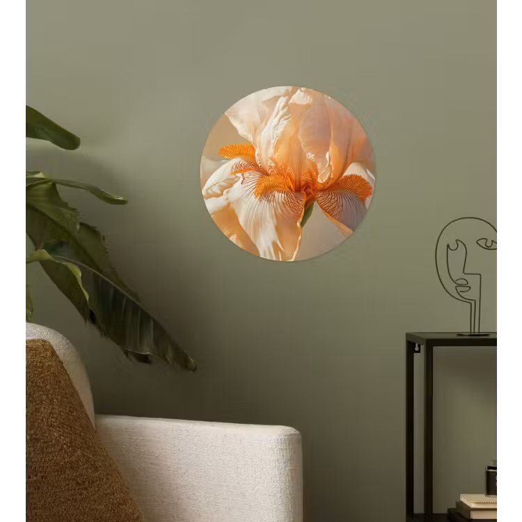 Behangcirkel - Close up - Oranje - Iris — 3