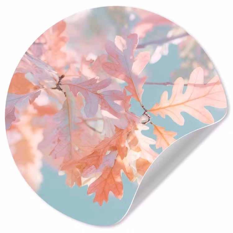 Behangcirkel - Eikenbladeren - Takken - Roze — 1