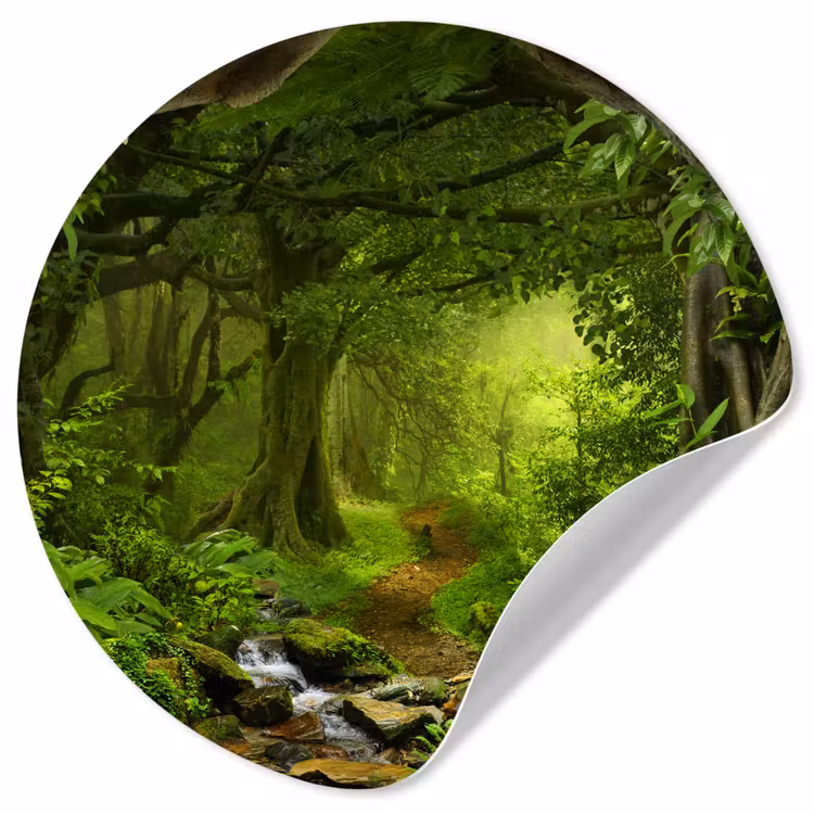 Behangcirkel - Jungle - Groen - Natuur - Tropisch - Planten — 1