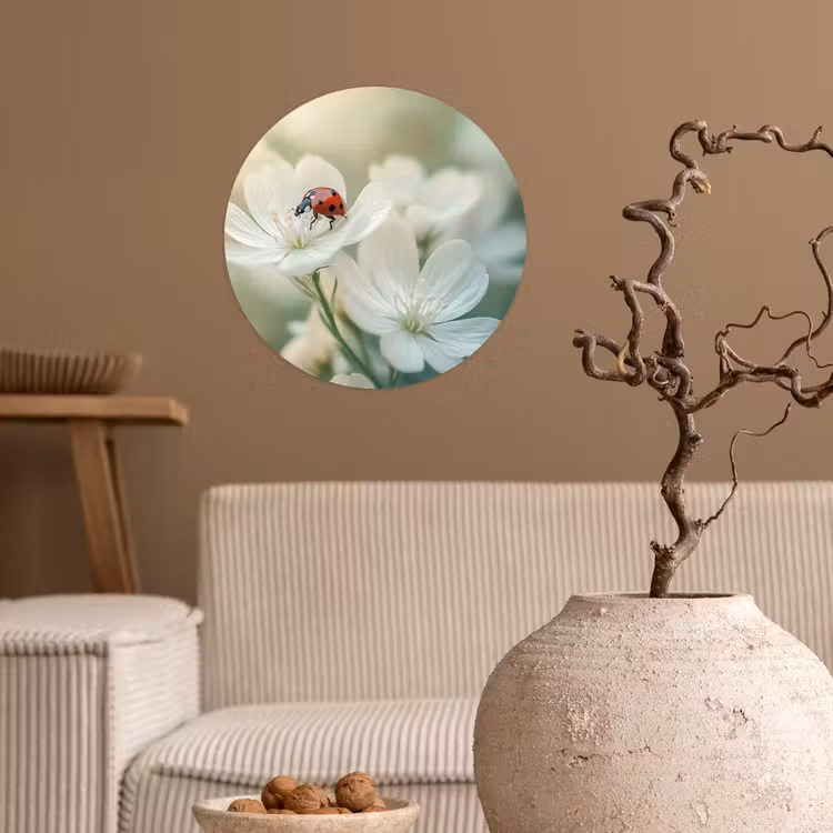 Behangcirkel - Lieveheersbeestje - Bloemen - Wit — 2