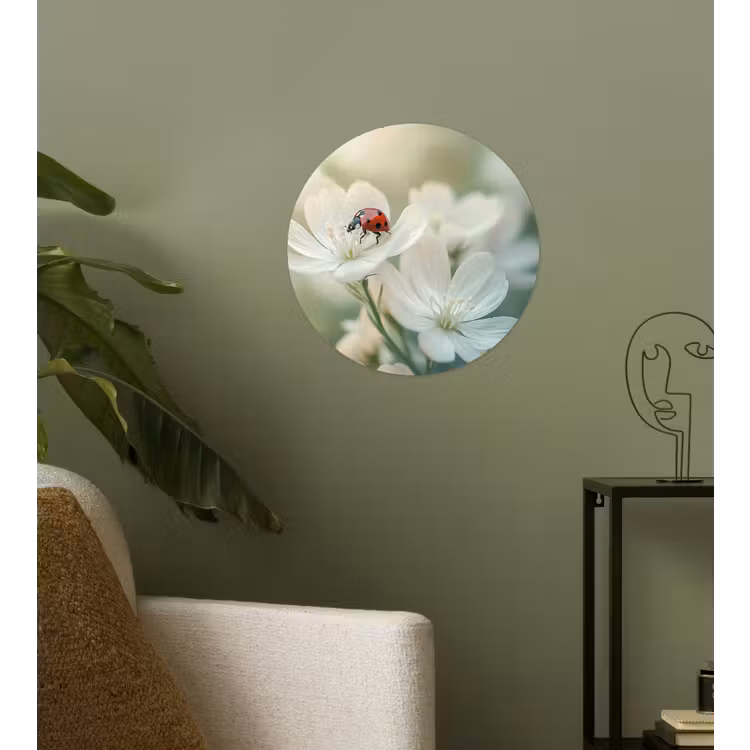Behangcirkel - Lieveheersbeestje - Bloemen - Wit — 3