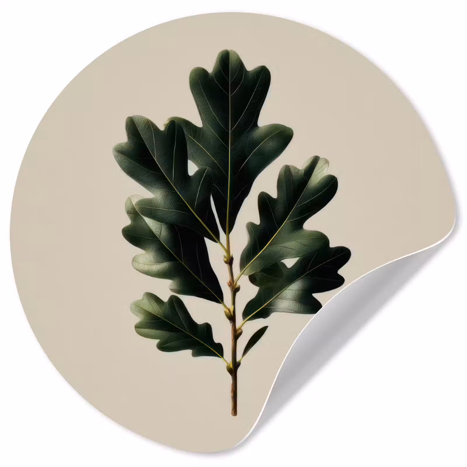 Behangcirkel - Eikenbladeren - Beige - Groen - Golvende randen — 1