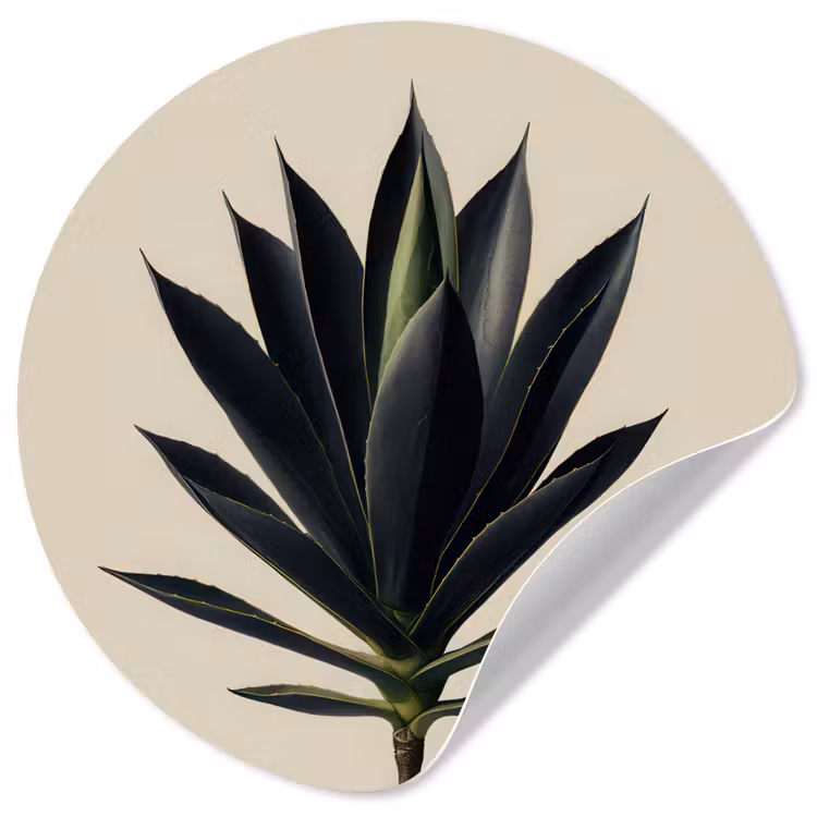 Behangcirkel - Agaveplant - Symmetrisch - Groen — 1