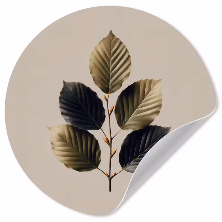 Behangcirkel - Beukenbladeren - Bruin - Groen - neutraal — 1