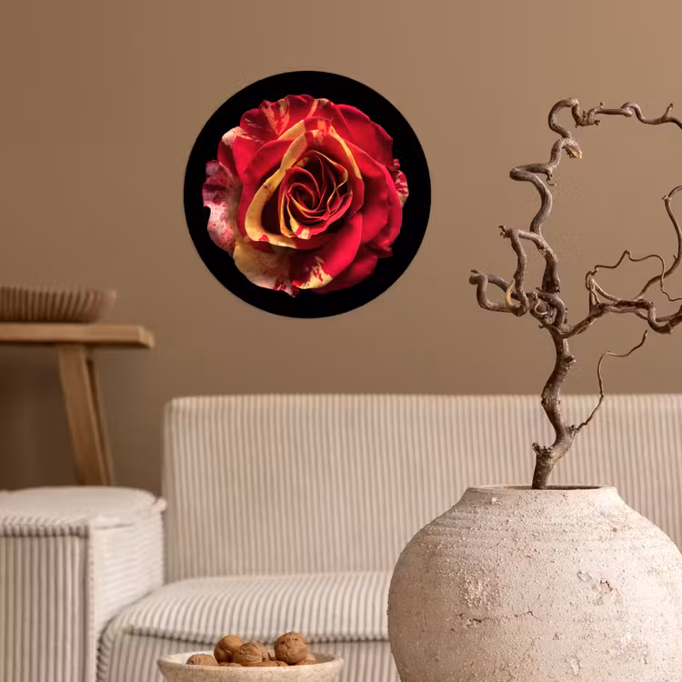 Behangcirkel - Bloem - Roos - Rood - Zwart — 2