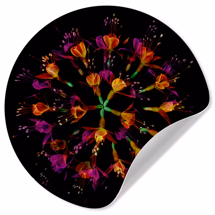 Behangcirkel - Bloemen - Oranje - Roze - Zwart — 1