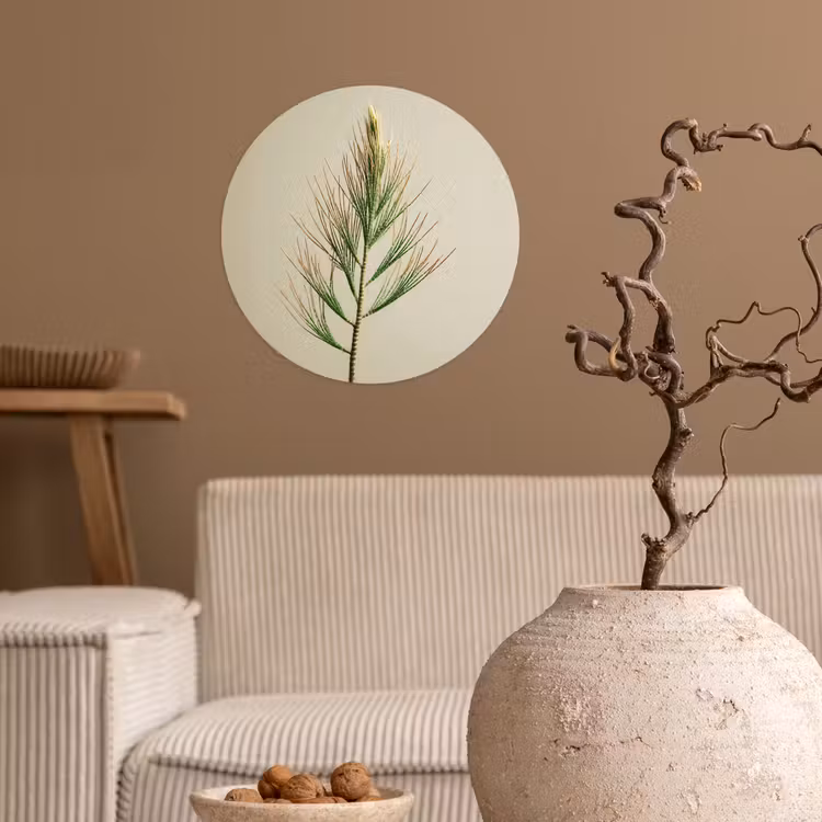 Behangcirkel - Dennentak - Naaldvormige bladeren - Lichtgroen — 2