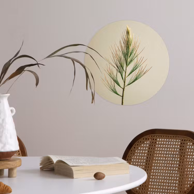 Behangcirkel - Dennentak - Naaldvormige bladeren - Lichtgroen — 4
