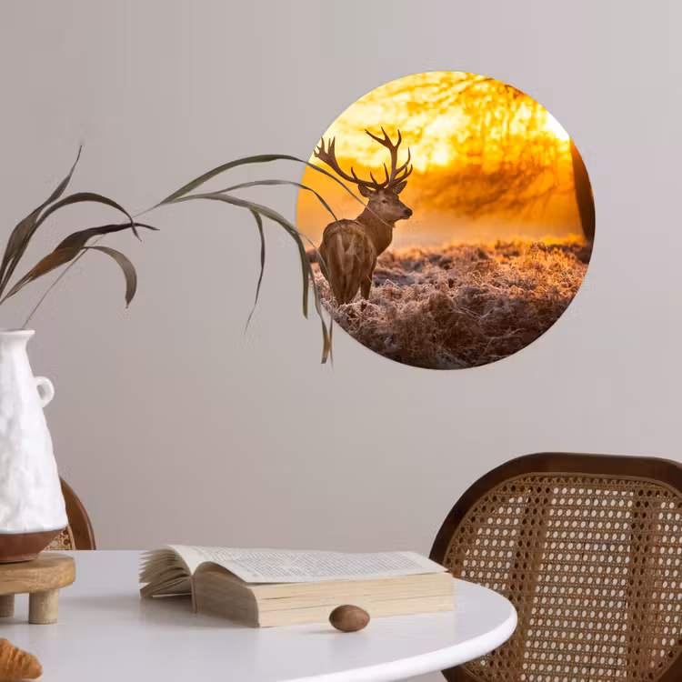 Behangcirkel - Hert - Dieren - Zonsondergang - Winter - Heide - Natuur — 4