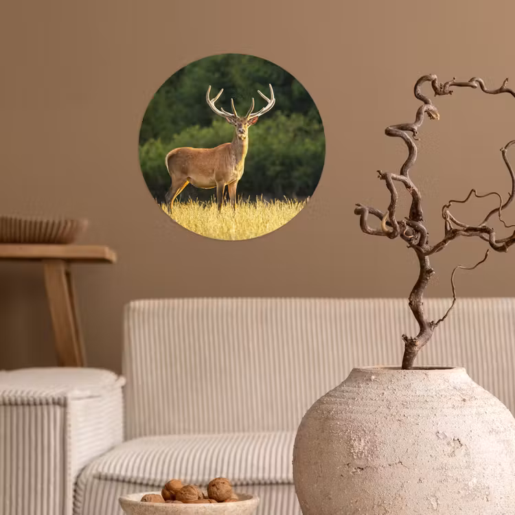 Behangcirkel - Hert - Gewei - Gras - Natuur - Dieren - Groen — 2