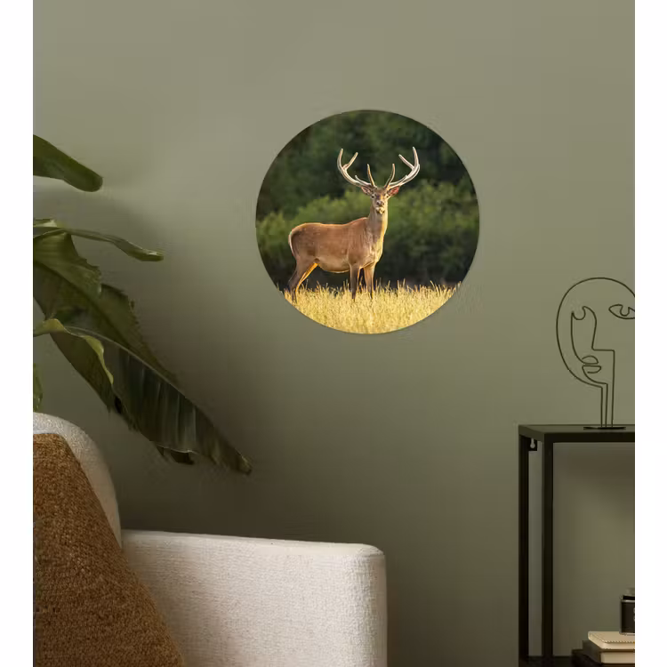 Behangcirkel - Hert - Gewei - Gras - Natuur - Dieren - Groen — 3