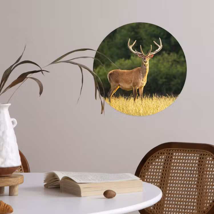 Behangcirkel - Hert - Gewei - Gras - Natuur - Dieren - Groen — 4