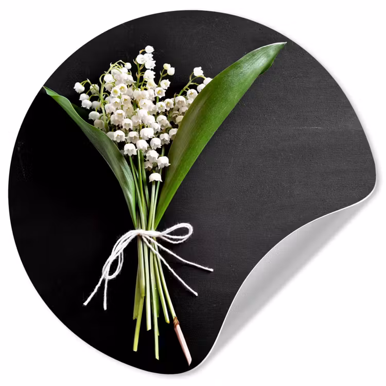 Behangcirkel - Lelietjes van dalen - Bloemen - Stilleven - Flora — 1
