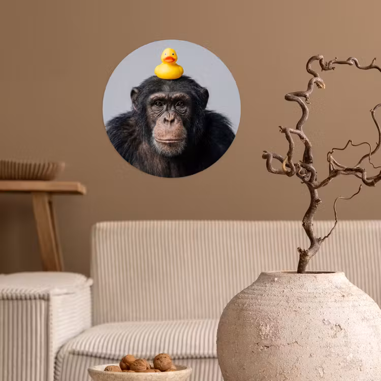 Behangcirkel - Chimpansee - Badeend - Grijs — 2