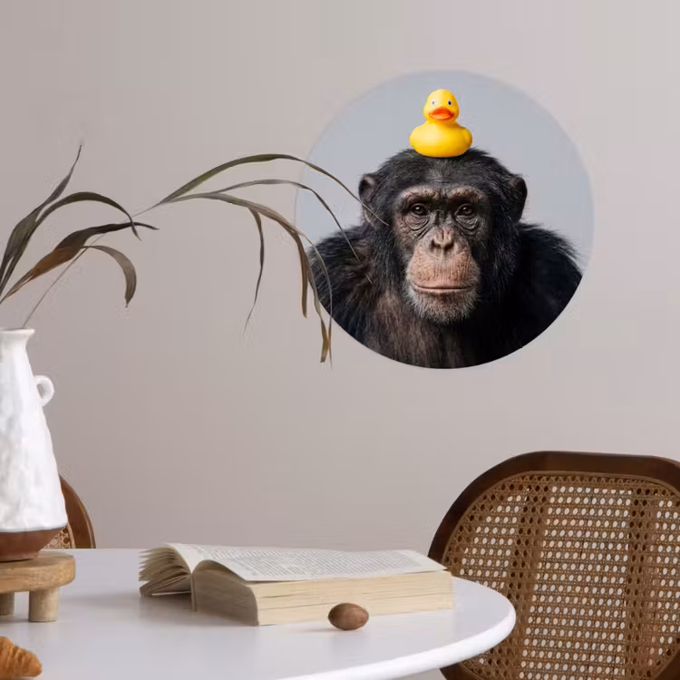Behangcirkel - Chimpansee - Badeend - Grijs — 4