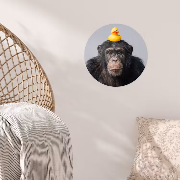 Behangcirkel - Chimpansee - Badeend - Grijs — 5