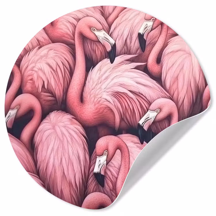 Behangcirkel - Flamingo - Roze - Dieren — 1