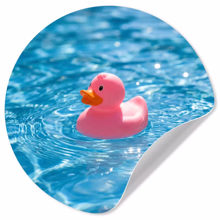 Behangcirkel - Badeend - Dobberend - Roze — 1