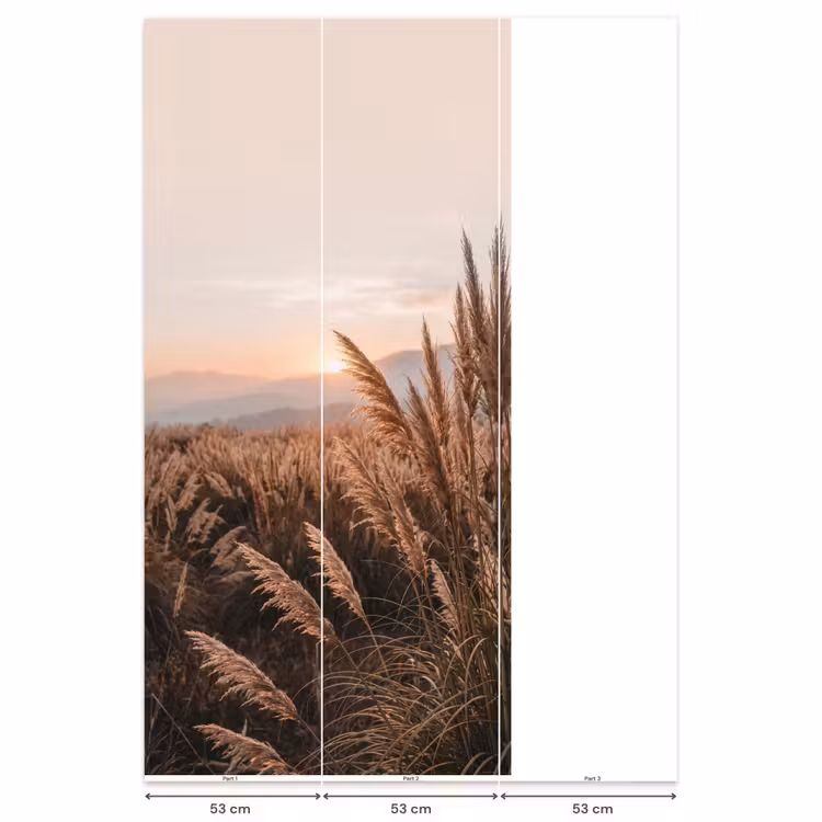 Behang - Gras - Veld - Zon - Natuur — 6