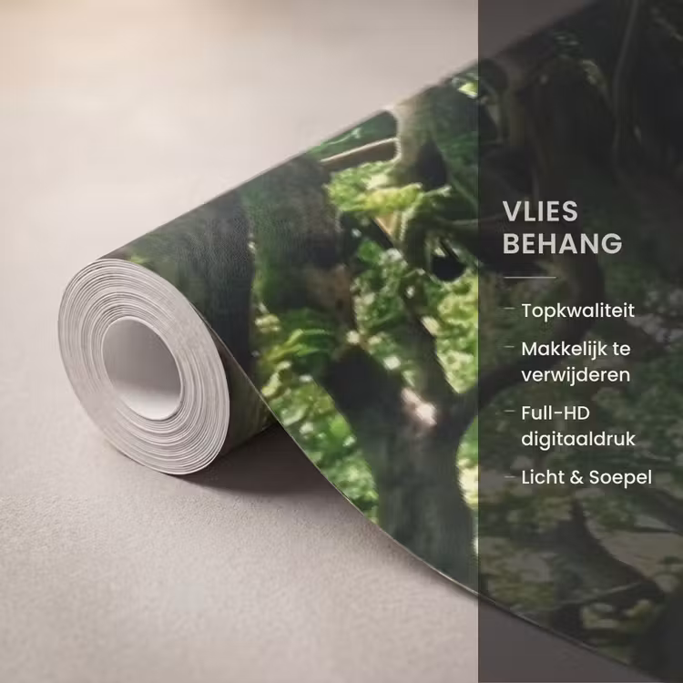 Behang - Weg - Bomen - Natuur - Groen — 3